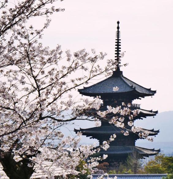 Villa 駐車場付き!近徒歩2分!難波,道頓堀エリアまで1駅!Usjまで15分!観光好立地の戸建! Ōsaka Exterior foto